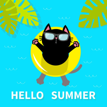 Hello Summer. Black cat floating on yellow air pool water circle. Sunglasses. Lifebuoy. Palm tree leaf. Cute cartoon relaxing character. Water waves. Flat design.