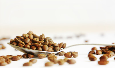 Beautiful roasted coffee beans