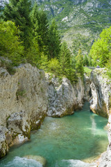 Fototapeta na wymiar Lepena Ravin, Slovenia, blue water, tree, rock