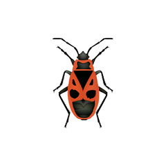 Red bug. Firebug. Vector illustration.