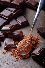 Broken  chocolate pieces and cocoa powder .
