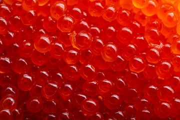 Red caviar mackro shot .