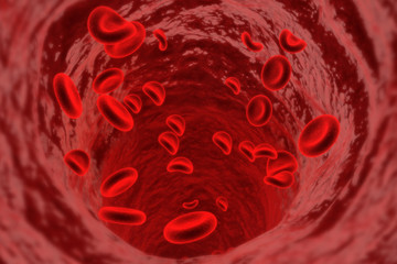 Blood cells 