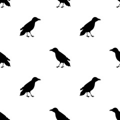 Obraz premium Seamless pattern with black ravens on the white background