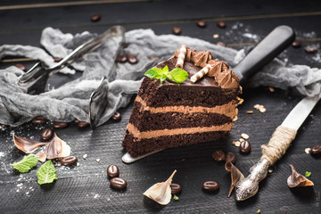 Delicious piece of chocolate cake with layers on the black background