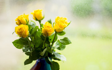 Bouquet of yellow roses in a vase