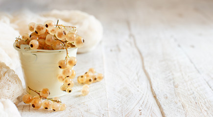 Ripe white currant berries