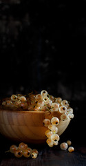 Ripe white currant berries