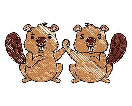 cute couple beaver animal rodent