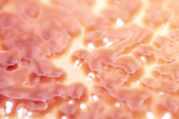 Serratia marcescens is a species of rod-shaped gram-negative bacteria in the family Enterobacteriaceae for Laboratory microbiology.