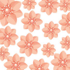 decoration ornate pink flowers background