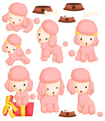 Poodles Vector Set