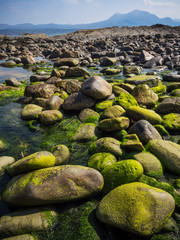 Irland Küste mit Steinen und Algen bei Connemara