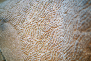 historical artifacts stone pattern texture background, old stone