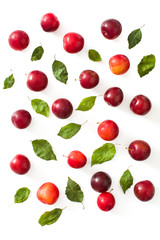 Red and yellow plums pattern on white background