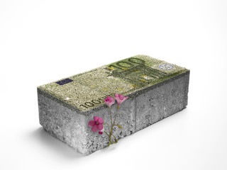 Euro banknote made in the shape of a brick crushes a flower