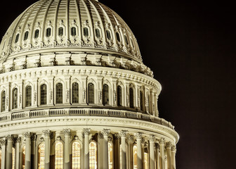 Fototapeta premium United States Capitol Building in Washington DC