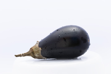 Aubergine