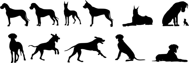 Deutsche Dogge - Silhouetten - obrazy, fototapety, plakaty