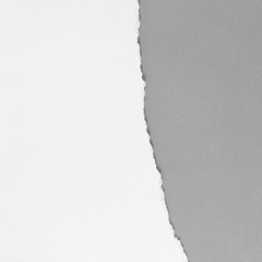 pieces of torn paper texture background, empty space for text.