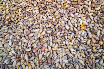 delicious pistachio cookies