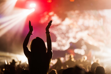 Picture of party people at music festival