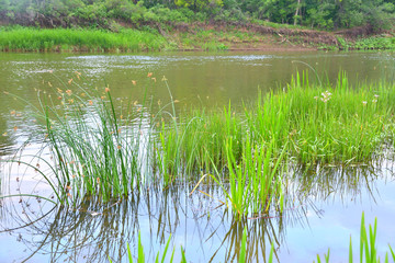 Obraz premium Morning on the river