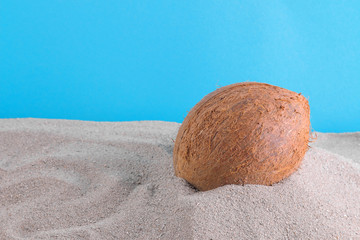 Fototapeta na wymiar Big brown coconut close-up in the sand with a place for writing on a blue background