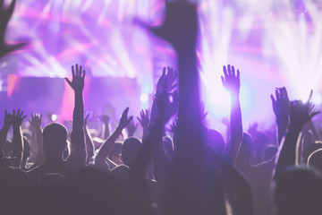 Cheering crowd with hands in air at music festival