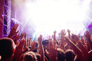 Portrait of happy crowd enjoying at music festival