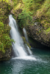 Fototapeta premium Beautiful Maui Waterfall