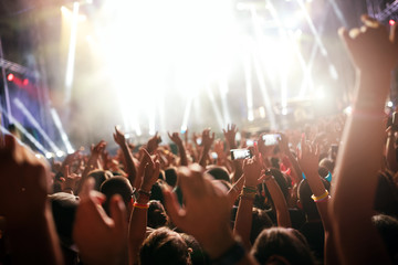 Portrait of happy crowd enjoying at music festival
