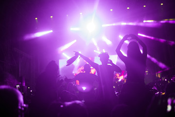 Portrait of happy crowd enjoying at music festival