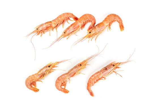 Overhead photo of raw shrimps forming frame on white background, with copy space