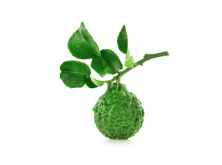 bergamot isolated on white background
