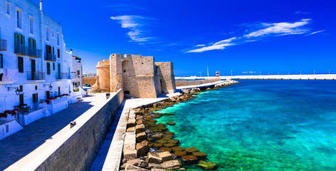 Beautiful coastal tow Monopoli in Puglia, view with medieval castle. Italy