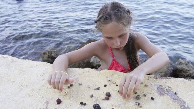 Little girl playing with Paguroidea on a beach