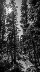 Colorado Lake Isabelle
