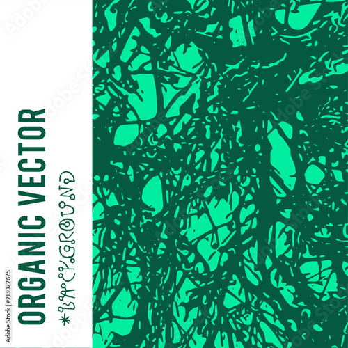 Organic Vector Background With Nature Foliage Textures And