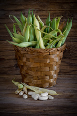fresh white beans in basket