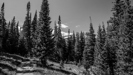 Colorado Lake Isabelle