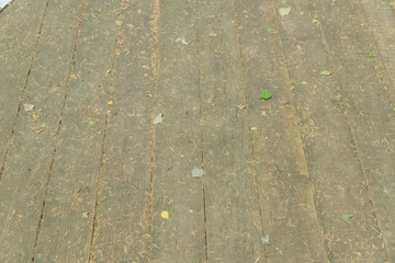 fallen spruce needles and leaves on wooden desk floor