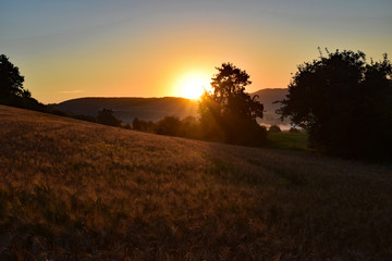 Fototapeta premium Sonnenaufgang an der Weser
