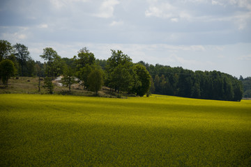 Rural landscape at Ekerö in summer, Stockholm