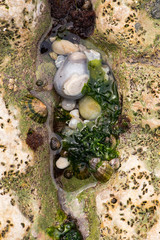 Strand in Etretat, Normandie, Frankreich