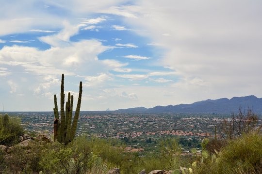 Monsoon Season Arizona Linda Vista Trail Oro Valley Tucson Desert Landscape © Teressa L. Jackson