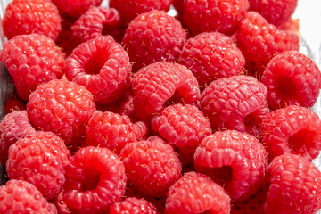 Nahaufnahme von geernteten roten Himbeeren im Sommer