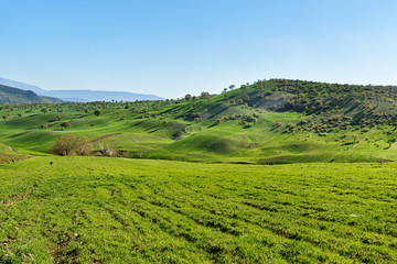Nature landscape in Lorestan Province. Iran
