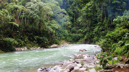 Bohorok River in Bukit Lawang, Sumatra, Indonesia