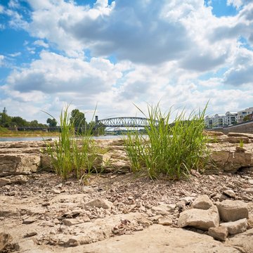 Ausgetrocknetes Flussbett der Elbe bei Magdeburg mit dem durch Trockenheit freigelegten Domfelsen